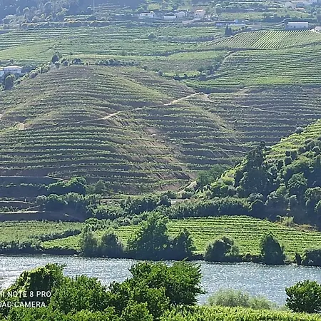 Ferienhaus Vineyards Valley House *