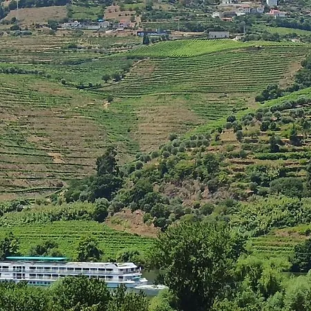 Vineyards Valley House Ferienhaus