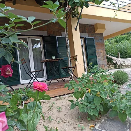 Vineyards Valley House Ferienhaus *